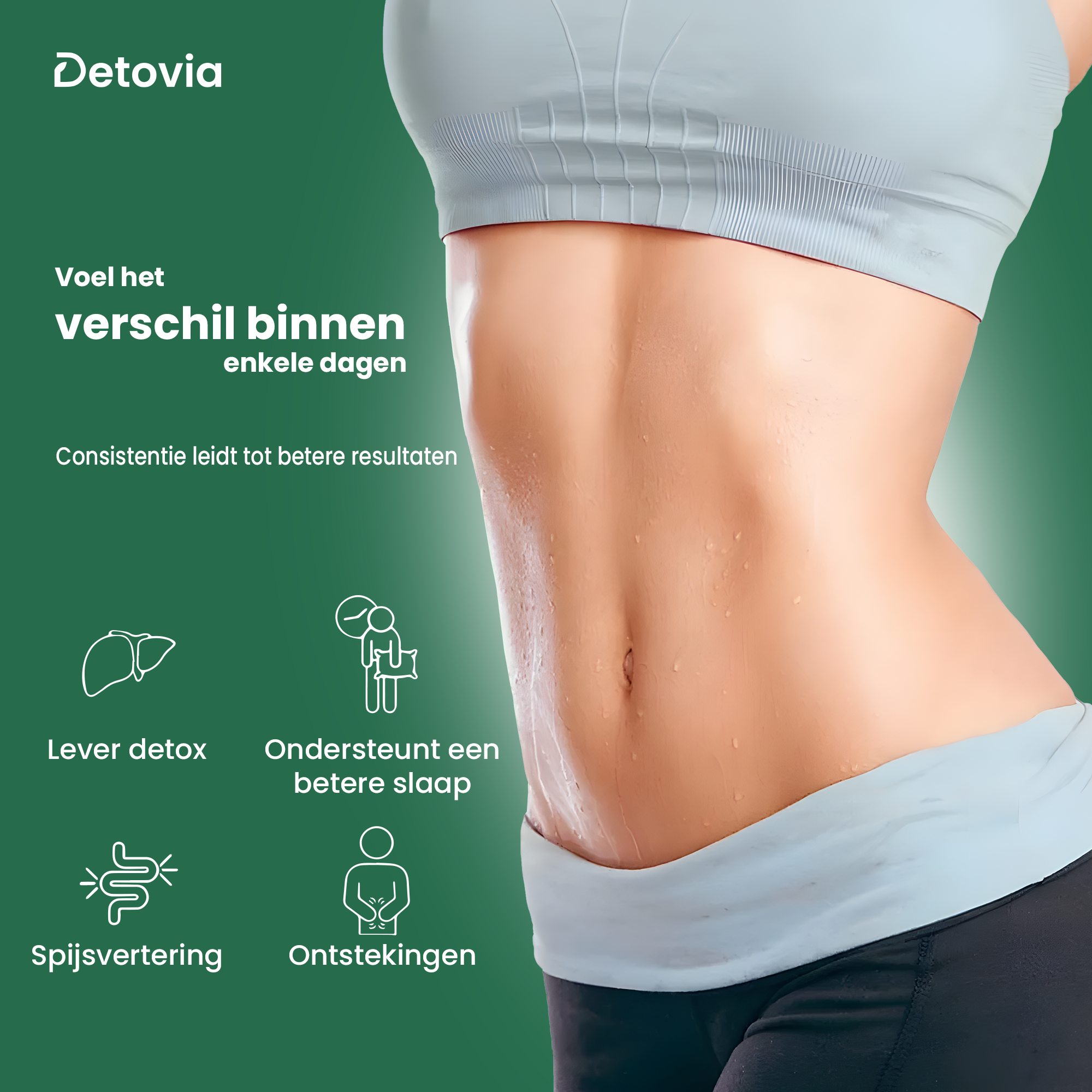 Detovia Detox Buikgordel (met Ricinusolie)